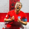 Harry Kane Art Paint By Numbers