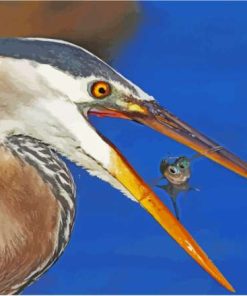 Heron And Fish Animals Paint By Numbers