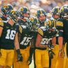 Lowa Hawkeyes Team Paint By Numbers