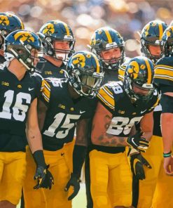 Lowa Hawkeyes Team Paint By Numbers