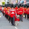 Irish Guards Paint By Numbers