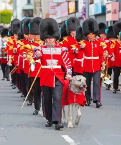 Irish Guards Paint By Numbers