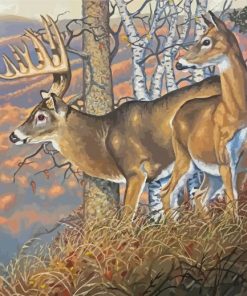 Large Buck And Doe Art Paint By Numbers