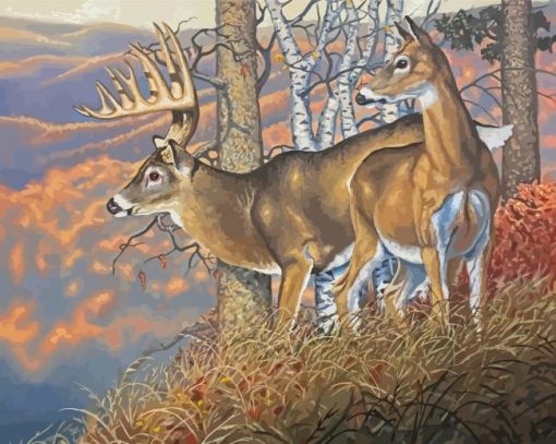 Large Buck And Doe Art Paint By Numbers