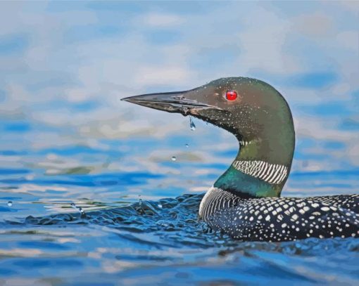 Loon On Lake Water Paint By Numbers