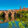 Montauban Bridge Paint By Numbers