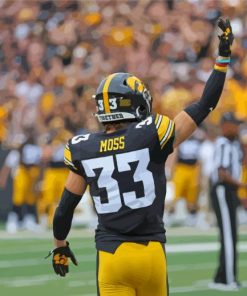 Moss Iowa Hawkeyes Player Paint By Numbers