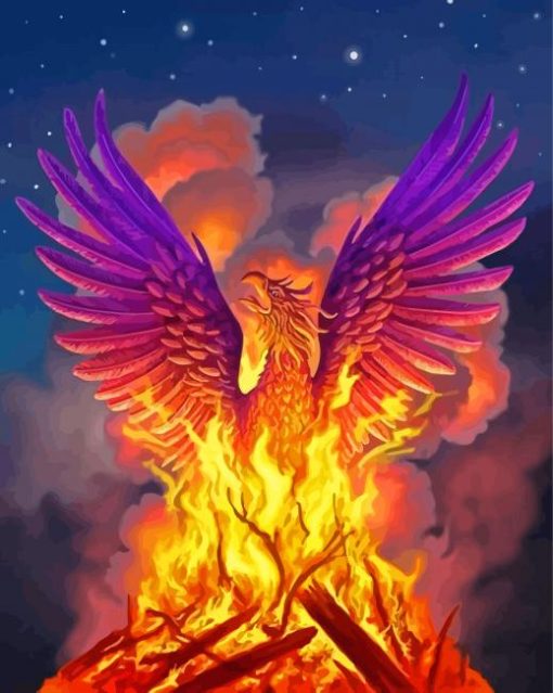 Phoenix Fire Bird Paint By Numbers