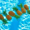 Pineapple Fruits In Pool Paint By Numbers