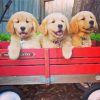 Puppies In Wagon Paint By Numbers