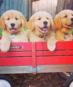 Puppies In Wagon Paint By Numbers