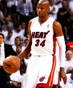 Ray Allen Paint By Numbers