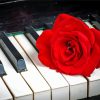 Red Rose With Piano Keys Paint By Numbers