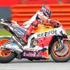 Repsol Honda Motorcycle Driver Paint By Numbers