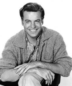 Robert Wagner Smiling Paint By Numbers