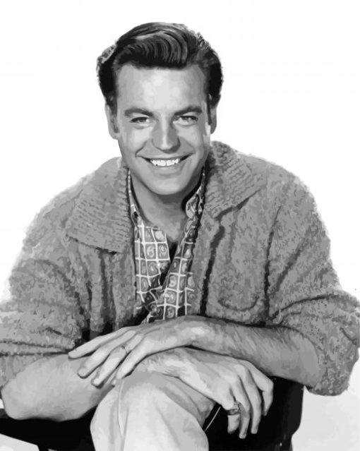 Robert Wagner Smiling Paint By Numbers