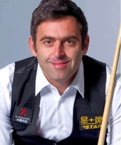 Ronnie O'Sullivan Paint By Numbers