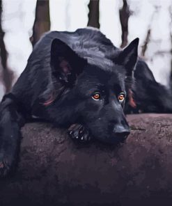 Sad Black German Shepherd Paint By Numbers