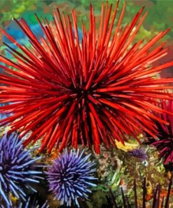 Sea Urchin Paint By Numbers