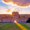 Texas Rice University Paint By Numbers