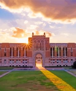 Texas Rice University Paint By Numbers