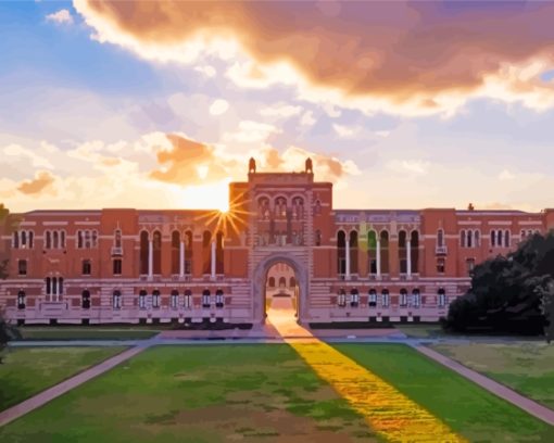 Texas Rice University Paint By Numbers