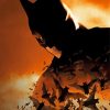 The Batman Begins Paint By Numbers