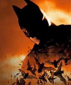 The Batman Begins Paint By Numbers