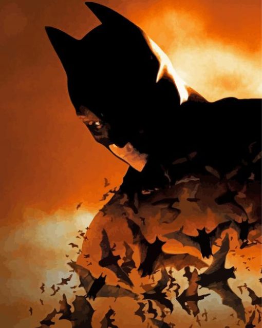 The Batman Begins Paint By Numbers