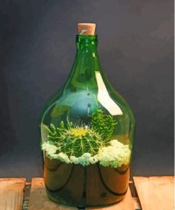 The Succulents In A Bottle Paint By Numbers