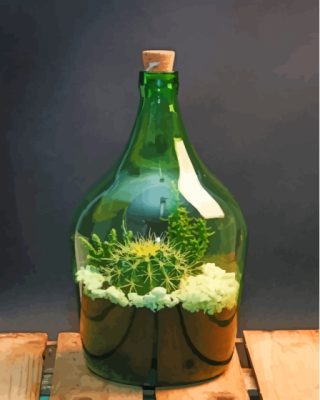 The Succulents In A Bottle Paint By Numbers