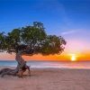 The Aruba Beach At Sunset Paint By Numbers