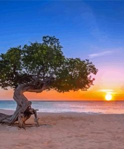 The Aruba Beach At Sunset Paint By Numbers