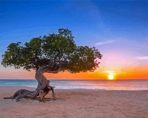 The Aruba Beach At Sunset Paint By Numbers