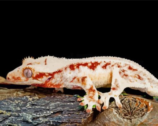 The Lilly White Crested Gecko Reptile Paint By Numbers