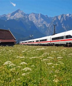 Train In Germany Nature Paint By Numbers