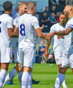 Tranmere Rovers Footballers Paint By Numbers