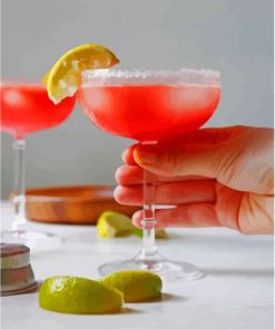 Watermelon Margaritas Paint By Numbers