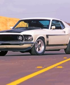 White 1969 Ford Mustang Fastback Paint By Numbers