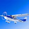 White And Blue Cessna 182 Airplane Paint By Numbers