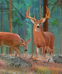 Wild Whitetail Buck And Doe Paint By Numbers