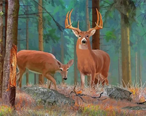 Wild Whitetail Buck And Doe Paint By Numbers