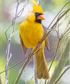 Yellow Cardinal Paint By Numbers