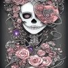 Abstract Pink Skull Lady Paint By Numbers