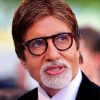 Aesthetic Amitabh Bachchan Paint By Numbers