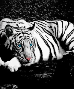 Aesthetic Black And White Tiger Animal Paint By Numbers