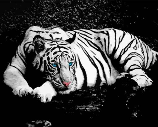 Aesthetic Black And White Tiger Animal Paint By Numbers