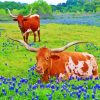 Aesthetic Longhorn And Bluebonnets Paint By Numbers