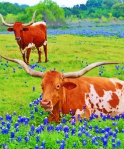 Aesthetic Longhorn And Bluebonnets Paint By Numbers