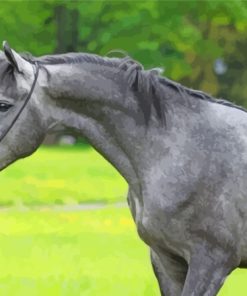 Aesthetic Dark Gray Horse Paint By Numbers